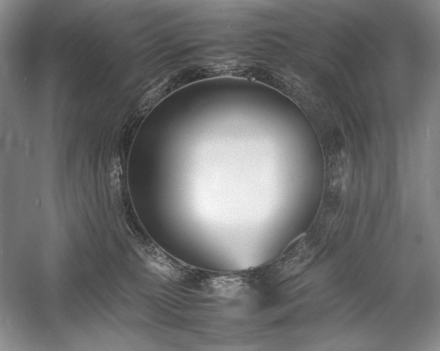 X0000059780279200510211059