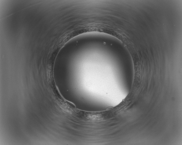 X0000059780283200510211059