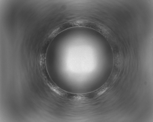 X0000059780284200510211059