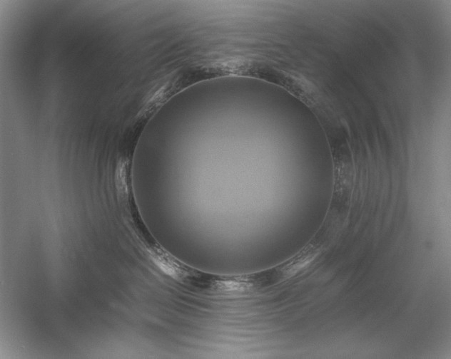 X0000059780286200510211059