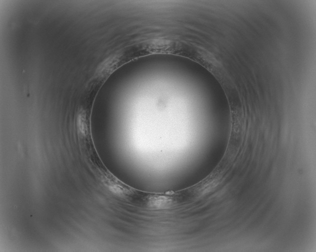 X0000059780287200510211059
