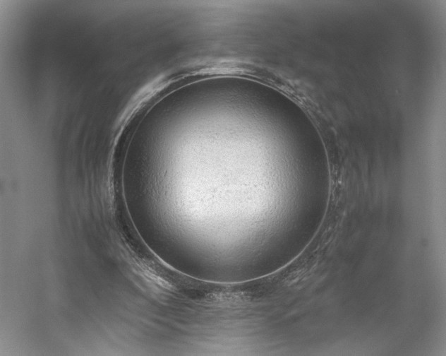 X0000059780296200510211058