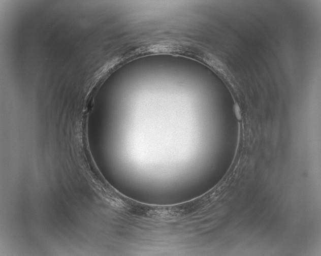 X0000059780297200510211058