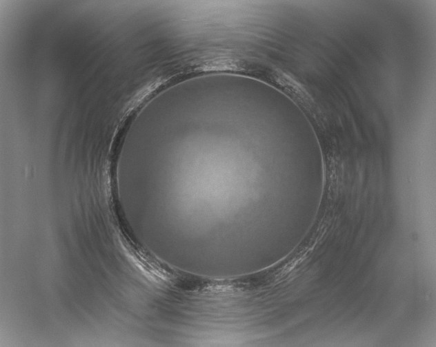 X0000059780298200510211058