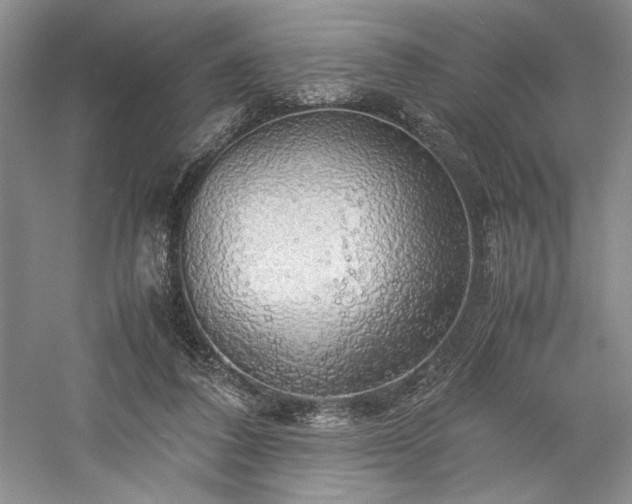 X0000059780308200510211058