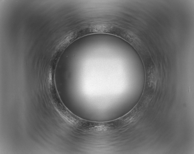 X0000059780310200510211058