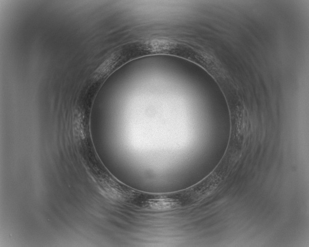 X0000059780316200510211058