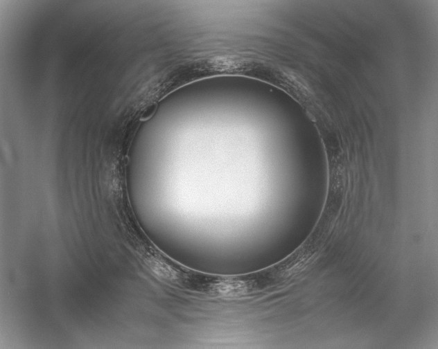 X0000059780317200510211058