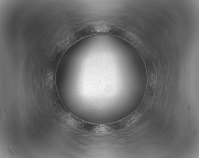 X0000059780321200510211057