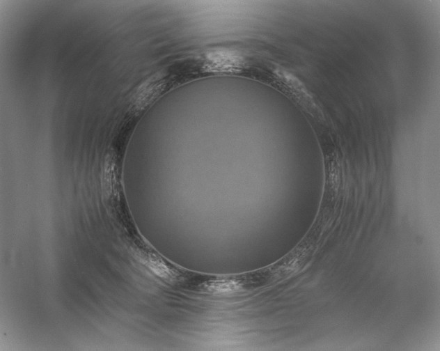 X0000059780322200510211057