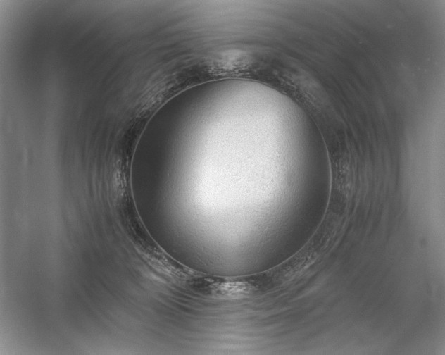 X0000059780324200510211057