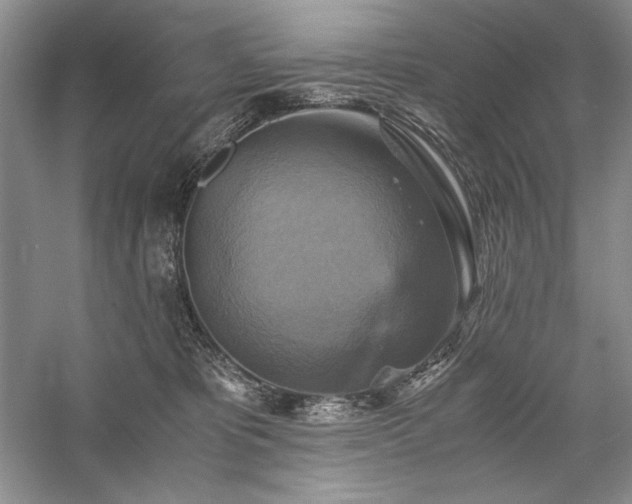 X0000059780325200510211057