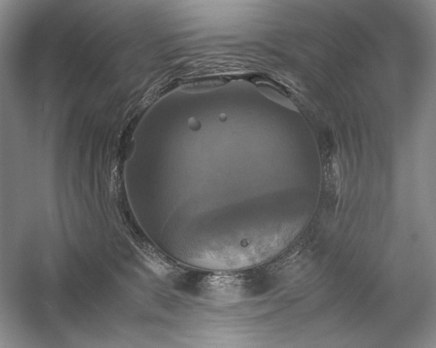 X0000059780327200510211057