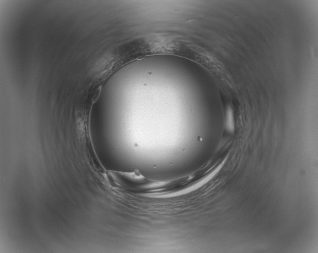 X0000059780329200510211057