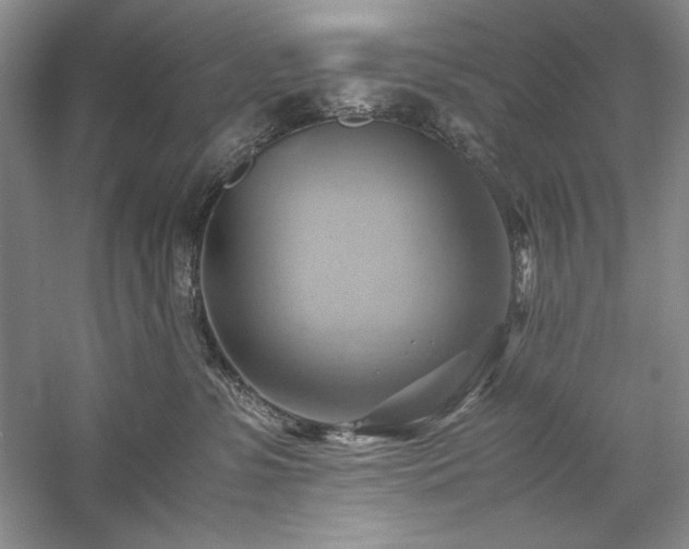 X0000059780331200510211057