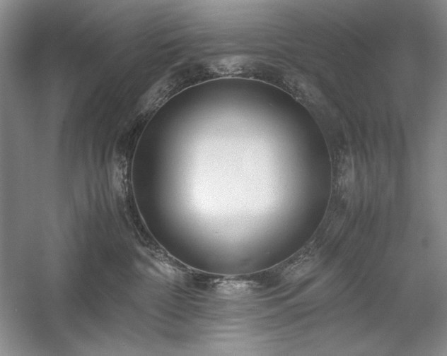 X0000059780332200510211057