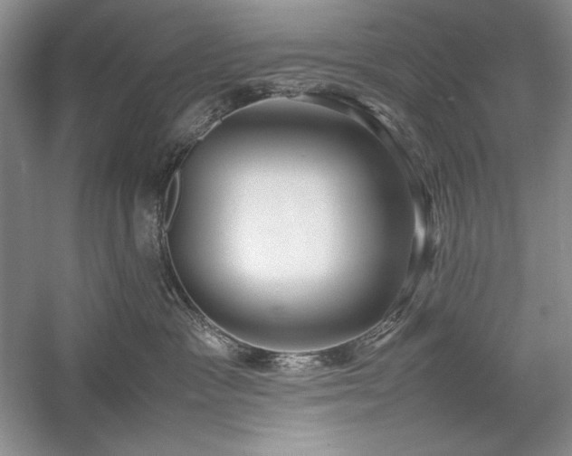 X0000059780333200510211057