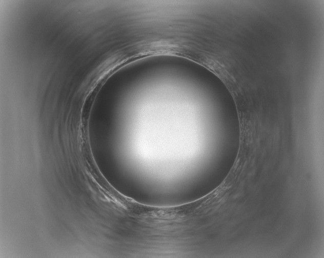 X0000059780338200510211056