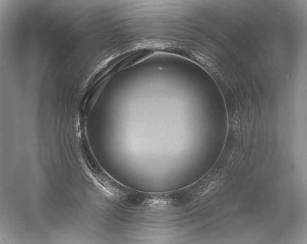 X0000059780352200510211057