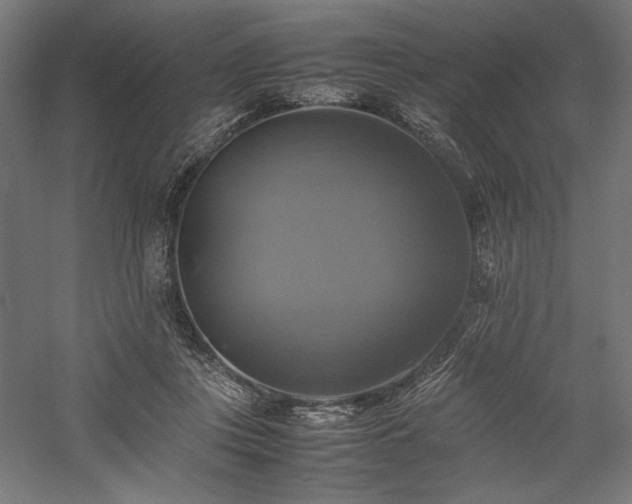 X0000059780359200510211057