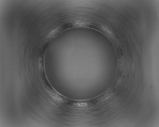 X0000059780361200510211057