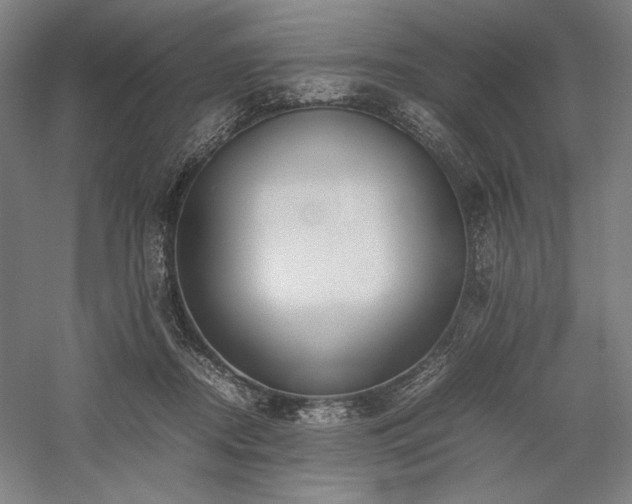 X0000059780362200510211057