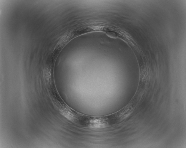 X0000059780365200510211057