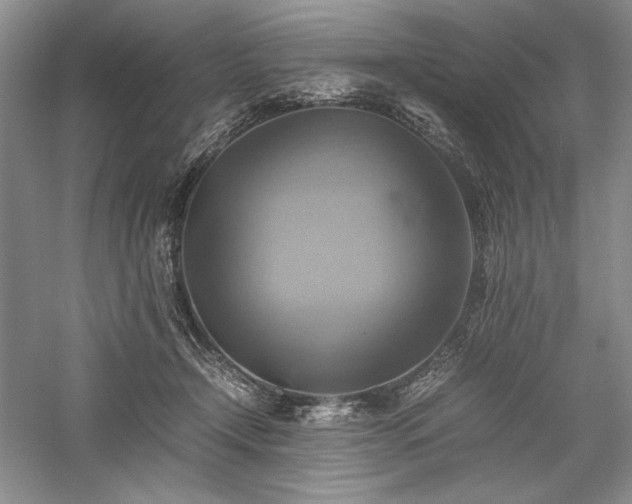 X0000059780366200510211057