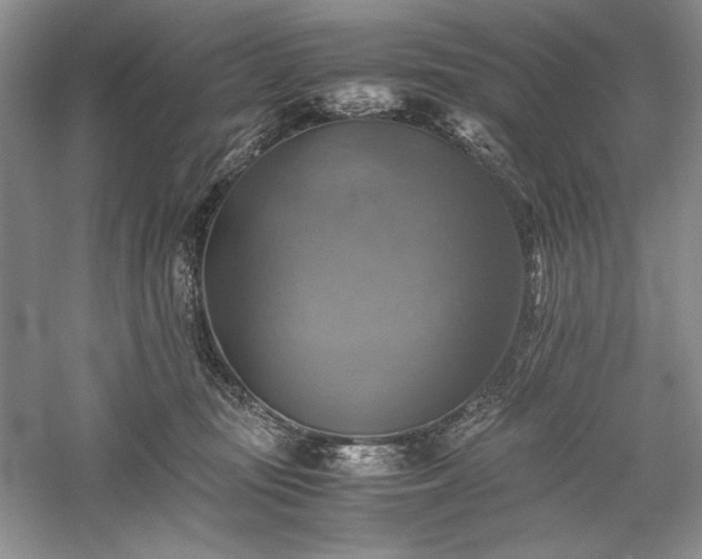 X0000059780371200510211057