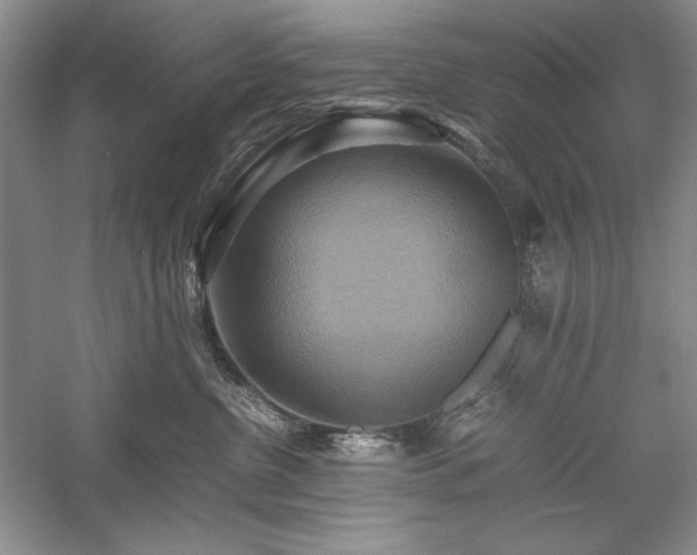 X0000059780380200510211057