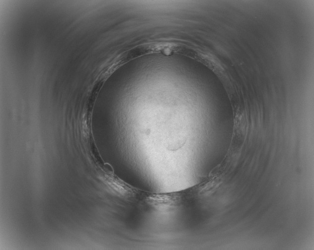 X0000059780381200510211057