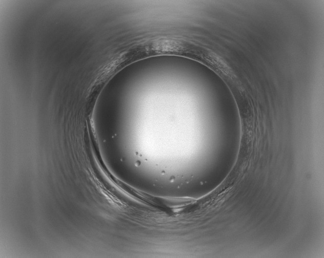X0000059780401200510211056