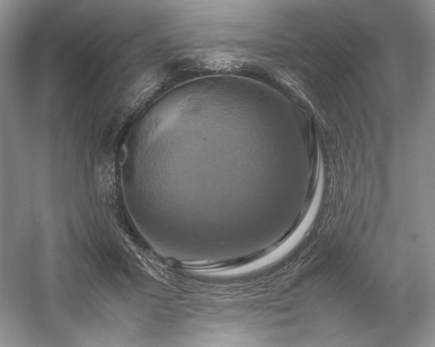X0000059780407200510211056