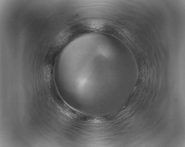 X0000059780412200510211056