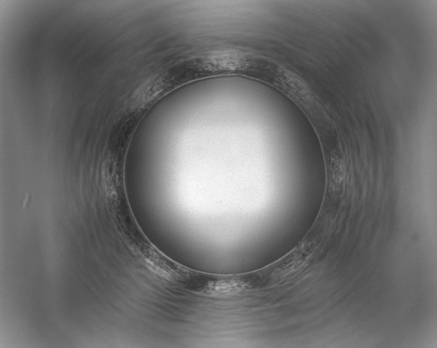 X0000059780414200510211056