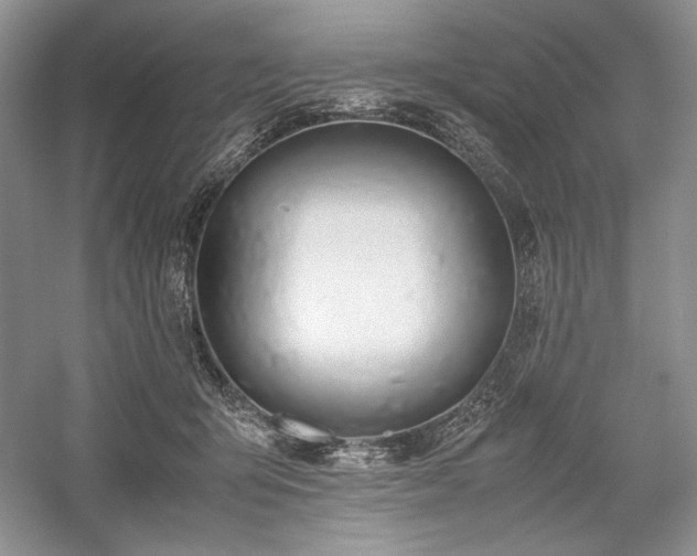 X0000059780415200510211056