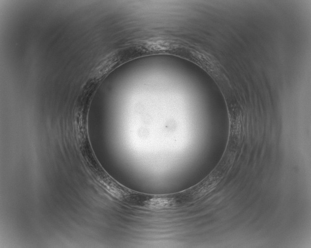 X0000059780418200510211056