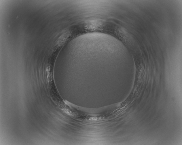 X0000059780420200510211056
