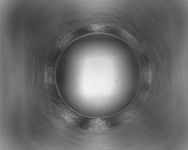 X0000059780421200510211056
