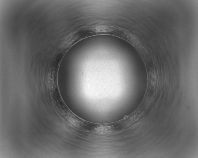 X0000059780422200510211056