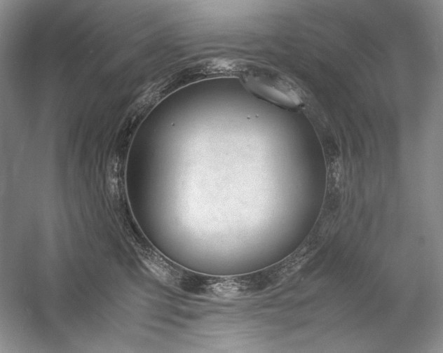 X0000059780423200510211056