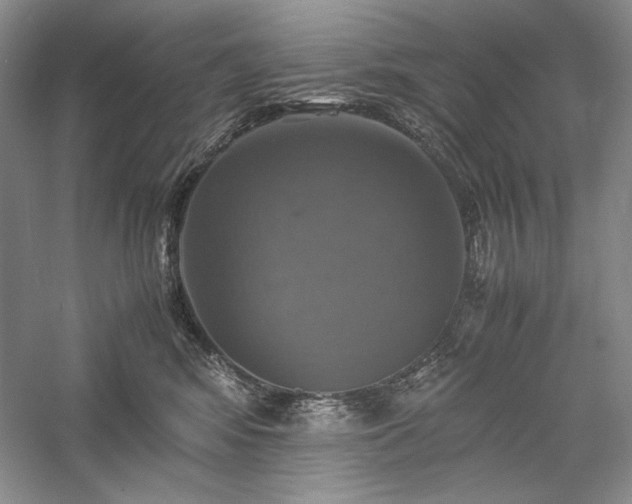 X0000059780424200510211056