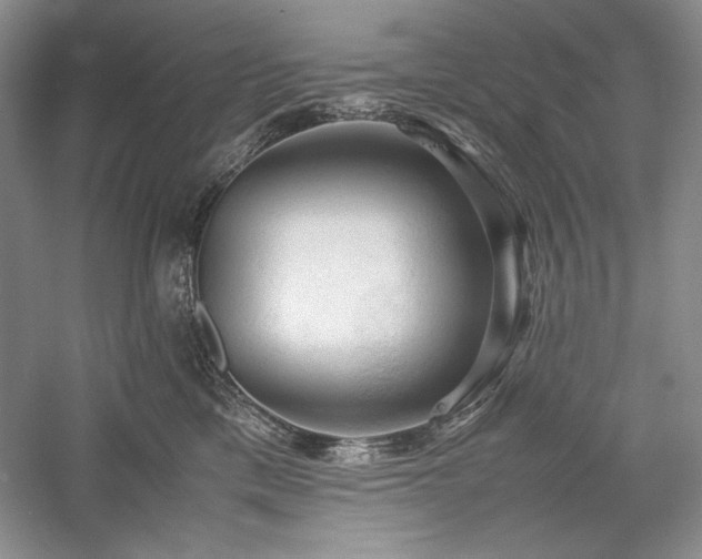 X0000059780425200510211056