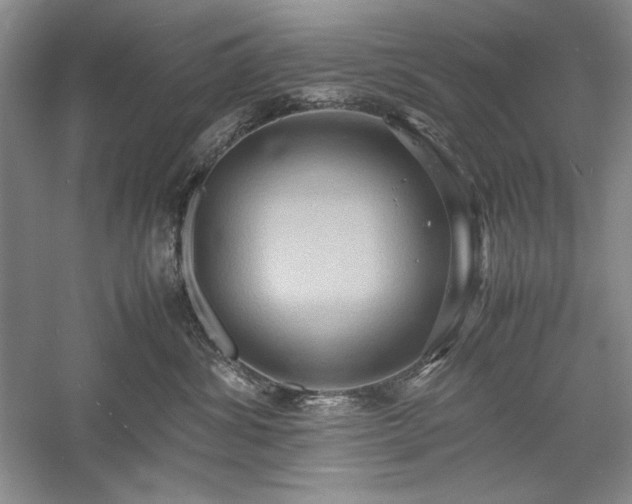 X0000059780428200510211056