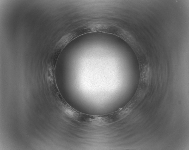 X0000059780430200510211056