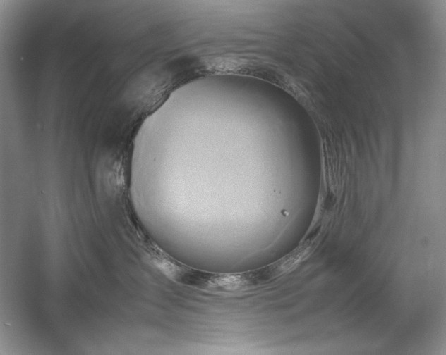 X0000059780431200510211056