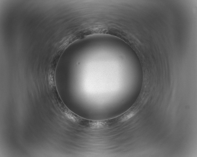 X0000059780432200510211056