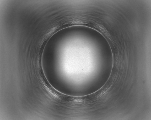 X0000059780441200510211055