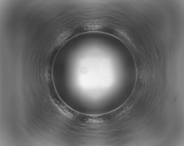 X0000059780455200510211055