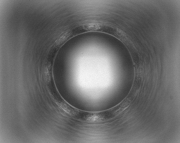 X0000059780460200510211055